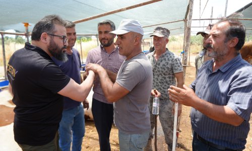 ANTALYA’DA KURBAN PAZARINDA SON KOZLAR OYNANDI: "ZOR BELAYLA ALDIK, ÇOK PAZARLIĞINI YAPTIK"