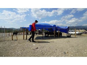 KAHRAMANMARAŞ’TA BAYRAM TEMİZLİĞİ VE İLAÇLAMA ÇALIŞMALARI SÜRÜYOR