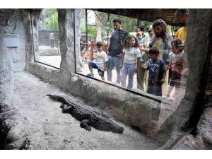 TARSUS DOĞA PARKI BAYRAMDA 28 BİN ZİYARETÇİYİ AĞIRLADI