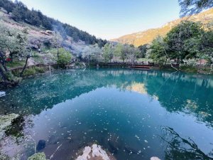 KAHRAMANMARAŞ’TA "YEŞİLGÖZ" GÖZ KAMAŞTIRIYOR