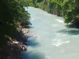 KAYBOLDUĞU YERDE SON ÇEKTİRDİĞİ FOTOĞRAFI ORTAYA ÇIKTI
