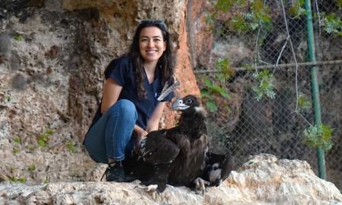 DOĞAYA DÖNEMEYEN YIRTICILARIN YAVRULARI İÇİN YENİ PROJE
