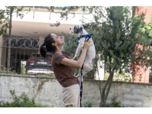 MERSİN’DE SAHİPLENDİRME KAMPANYASIYLA BİN 927 KÖPEK YENİ YUVASINA KAVUŞTU