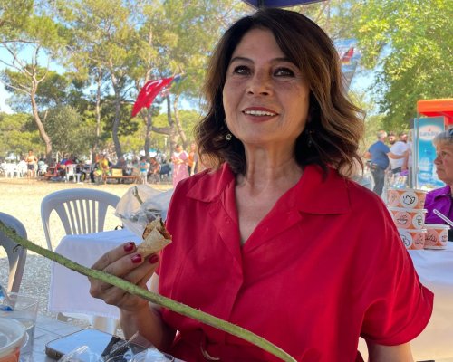 ANTALYA'DA VAN KÜLTÜRÜ BULUŞMASI