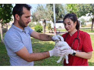 BÜYÜKŞEHİR’İN HAYVAN AMBULANSI CAN DOSTLARIN İMDADINA YETİŞİ