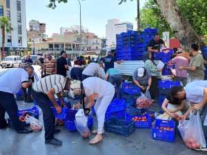 ALICI BULAMADIĞI 4 TON DOMATESİ ÜCRETSİZ DAĞITTI