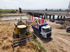 HATAY’DA  "HER TOHUM BİR GIDA" PROJESİNDE EKİLEN B