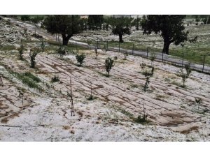 MERSİN ERDEMLİ’DE DOLU TARIM ALANLARINA ZARAR VERD