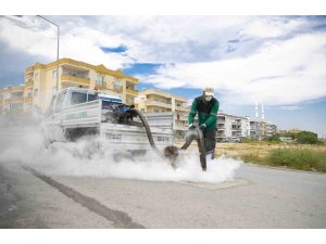 MERSİN’DE SİNEK VE HAŞERELERE KARŞI YOĞUN MESAİ