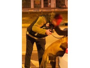 ISPARTA’DA NARKOTİKTEN BİR HAFTADA 18 OPERASYON, 3 TUTUKLAMA