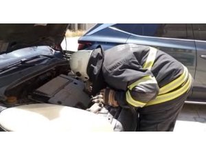 ARSUZ’DA ARACIN MOTOR KISMINA GİREN YAVRU KEDİ KURTARILDI