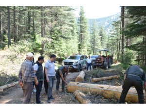 KAHRAMANMARAŞ’TA YANGIN RİSKİNE KARŞI YOL KENARLARINDA TEMİZLİK VE BAKIM