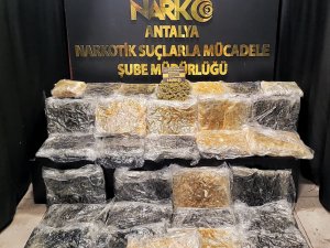 34 KİLO SKUNK ELE GEÇİRİLDİ