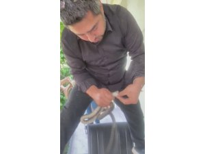 KLİMA ÜNİTESİNİN BORU HATTINDA YAKALADIĞI YILANI "SEVGİLİ YILAN İNSANLARDAN UZAK DUR, YOKSA NE YAPARLAR BİLİYORSUN" DİYEREK DOĞAYA SALDI