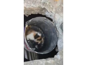 OSMANİYE’DE BALYOZLA GENİŞLETİLEN KUYUDAN YAVRU KEDİ KURTARILDI