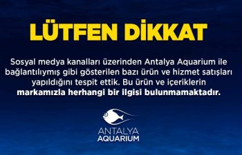 DİJİTAL DOLANDIRICILARA SUÇ DUYURUSU