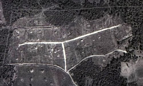 ORMANI BÖLÜŞEN KAMU PERSONELİNE MAHKEME 'DUR' DEDİ