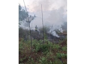 DÖRTYOL’DA BAHÇE YANGINI
