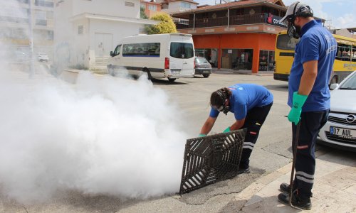 19 İLÇEDE VEKTÖRLE YOĞUN MÜCADELE