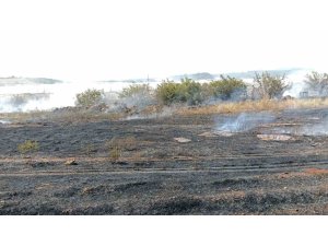 ANTALYA’DA OTLUK ALAN YANGINI İTFAİYE EKİPLERİNCE SÖNDÜRÜLDÜ