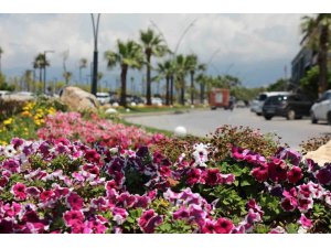 İSKENDERUN SAHİLİ RENKLİ ÇİÇEKLERLE SÜSLENDİ.