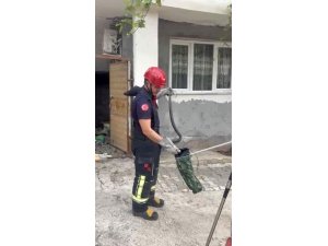 OSMANİYE’DE EVİN BAHÇESİNDE GÖRÜLEN YILAN YAKALANDI