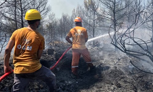 ANTALYA'DA ORMAN YANGINI