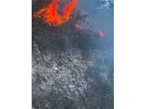 YAYLADAĞI’NDA ORMANLIK ALANDA ÇIKAN YANGIN KONTROL ALTINA ALINDI