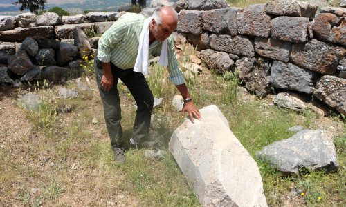 113 YIL ÖNCE BULUNAN TAPINAĞIN 'SIRRI' ÇÖZÜLDÜ