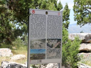 113 YIL ÖNCE BULUNAN TAPINAĞIN 'SIRRI' ÇÖZÜLDÜ