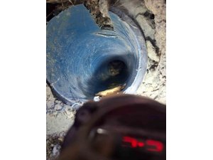 KUYUYA DÜŞEN YAVRU KÖPEK KURTARILDI