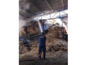 REYHANLI’DA SAMANLIK YANGINI