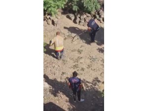 YAKALANACAKKEN KAÇAN YILAN, EKİPLERİ PEŞİNE TAKTI