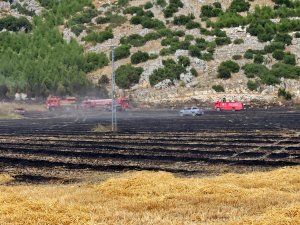ORMANA SIÇRAYAN ARAZİ YANGINI SÖNDÜRÜLDÜ