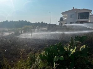 ARSUZ’DA OTLUK ALAN YANGINI