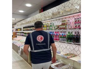 MERSİN’DE HAZİRAN AYINDA 93 BİN ÜRÜN DENETLENDİ