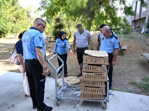 USULSÜZ TAŞINAN 700 CİVCİVE EL KONULDU