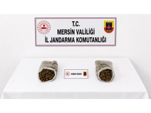 MERSİN’DE JANDARMADAN UYUŞTURUCU OPERASYONU: 2 TUTUKLAMA