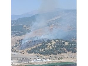 KAHRAMANMARAŞ’TA ORMAN YANGINI
