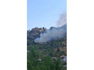 ALANYA’DA ZİRAİ ALANDA ÇIKAN YANGIN SÖNDÜRÜLDÜ