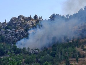 ZİRAİ ALANDA ÇIKAN YANGIN SÖNDÜRÜLDÜ