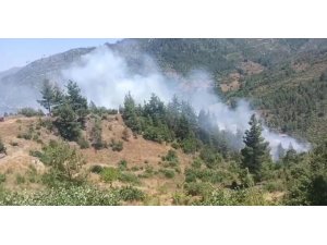 ADANA’DA ORMAN YANGINI