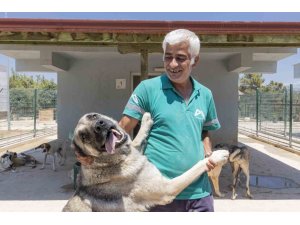 MERSİN’DE SAHİPSİZ HAYVANLAR TEDAVİ EDİLİP SICAK YUVALARINA KAVUŞUYOR