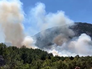 ANTALYA'DA ORMAN YANGINI