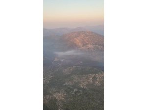 ANTALYA’DAKİ ORMAN YANGINI KONTROL ALTINA ALINDI