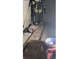 EVDE GÖRÜLEN ZEHİRLİ ENGEREK İTFAİYE EKİPLERİNCE YAKALANDI