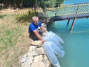 400 BİN YAVRU BALIK SUYA BIRAKILDI
