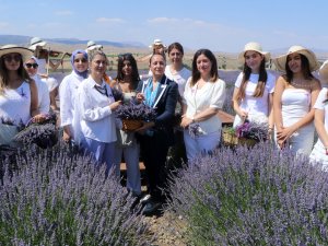 BURDUR'DA LAVANTA HASADI