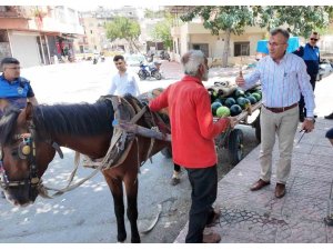 MERSİN’DE BİTKİN DÜŞEN AT YENİ YUVASINA KAVUŞTU