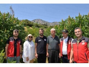 KAHRAMANMARAŞ’TA 22 BİN SUMAK FİDANI VERİME GEÇTİ